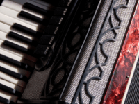Acordeon