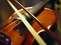 Violino