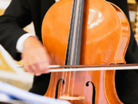 Violoncelo