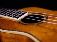 Ukulele
